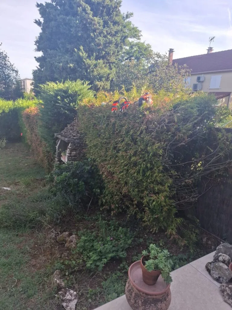 Chantier d’entretien d’espaces verts mené par King Élagueur dans la région lyonnaise