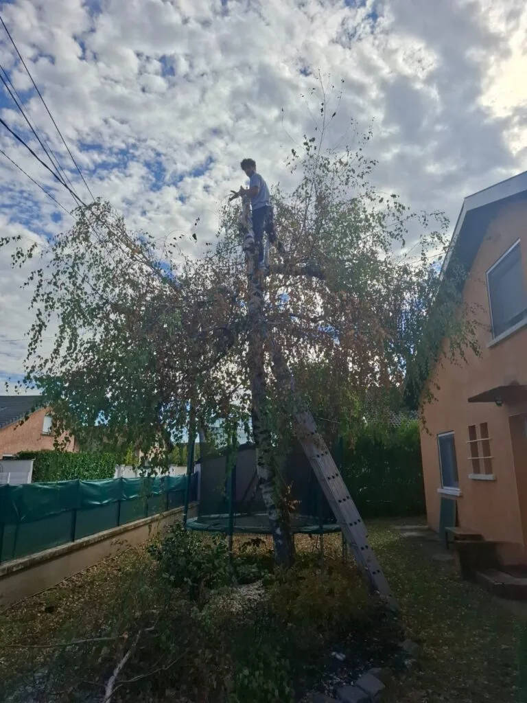 Broyat de déchets verts utilisé en paillage dans un jardin lyonnais
