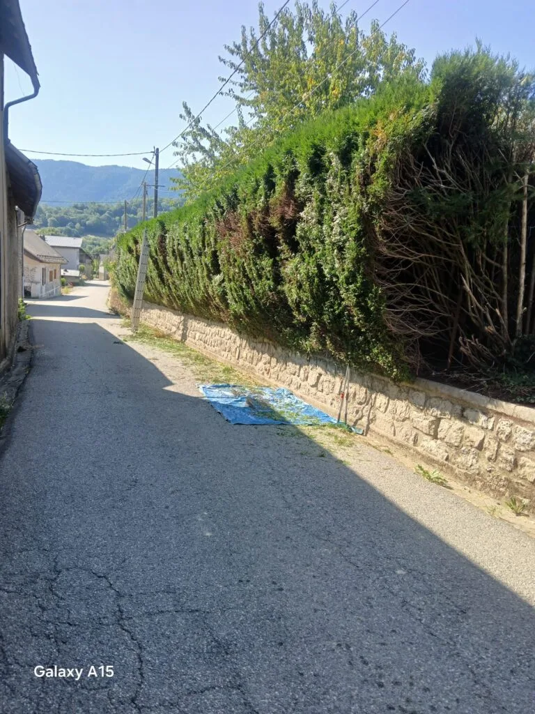 Déchets verts rassemblés en fin de chantier par King Élagueur