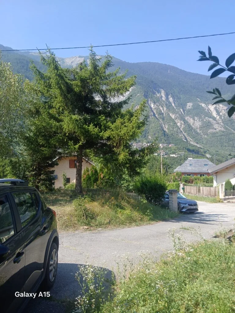 Bois débité et rassemblé en fin de chantier par King Élagueur