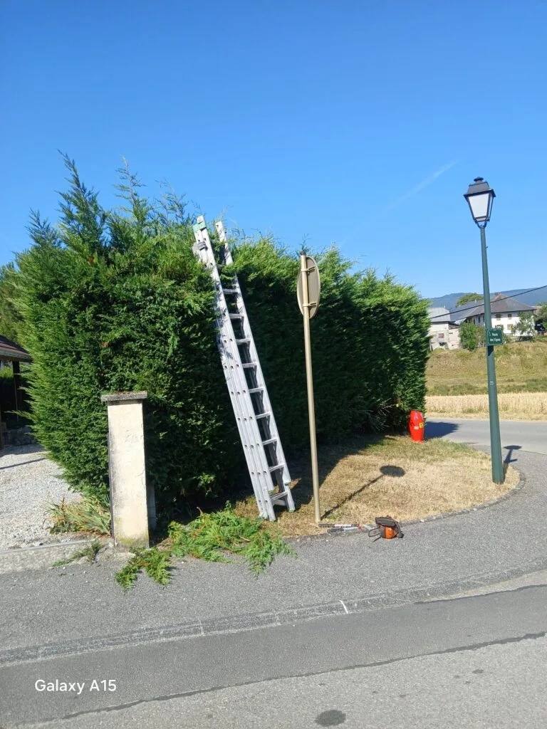 Copeaux et déchets verts rassemblés en fin de chantier