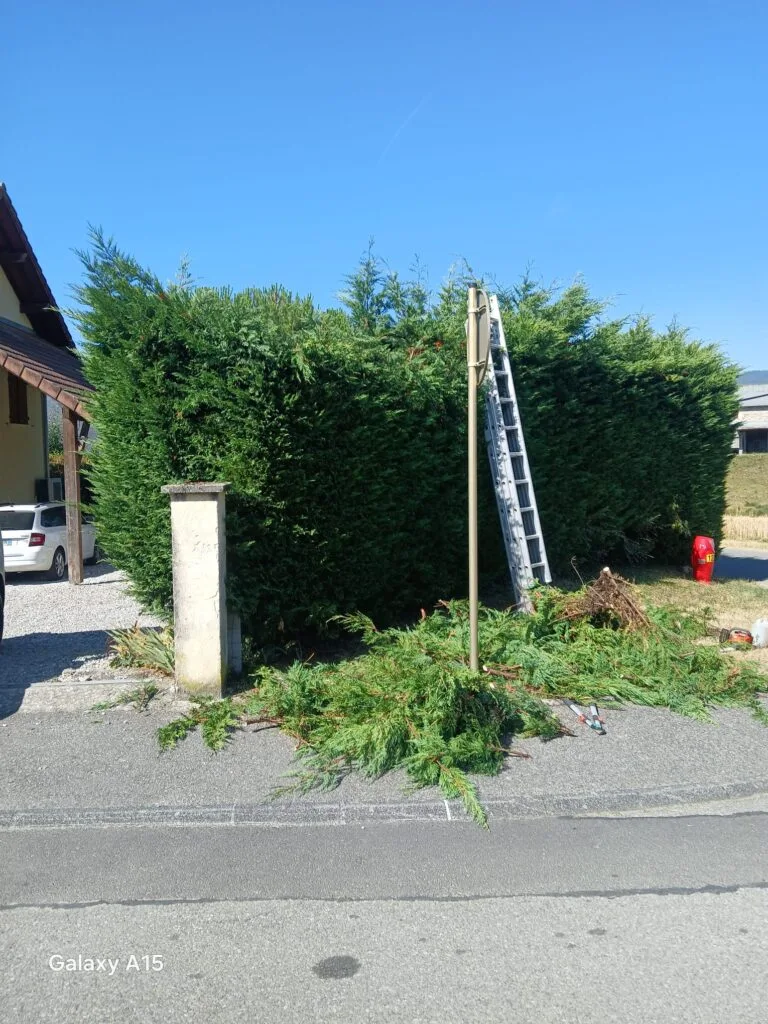 Chantier King Élagueur à Oullins-Pierre-Bénite et dans la métropole de Lyon
