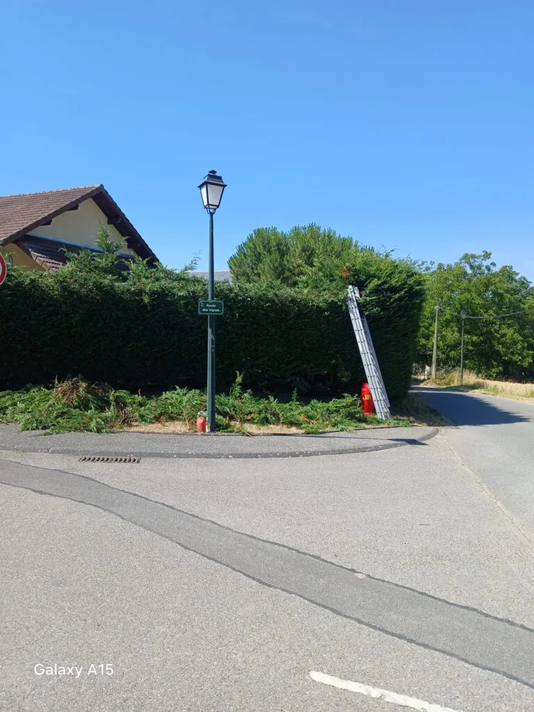 Chantier de remise en état de terrain mené par King Élagueur