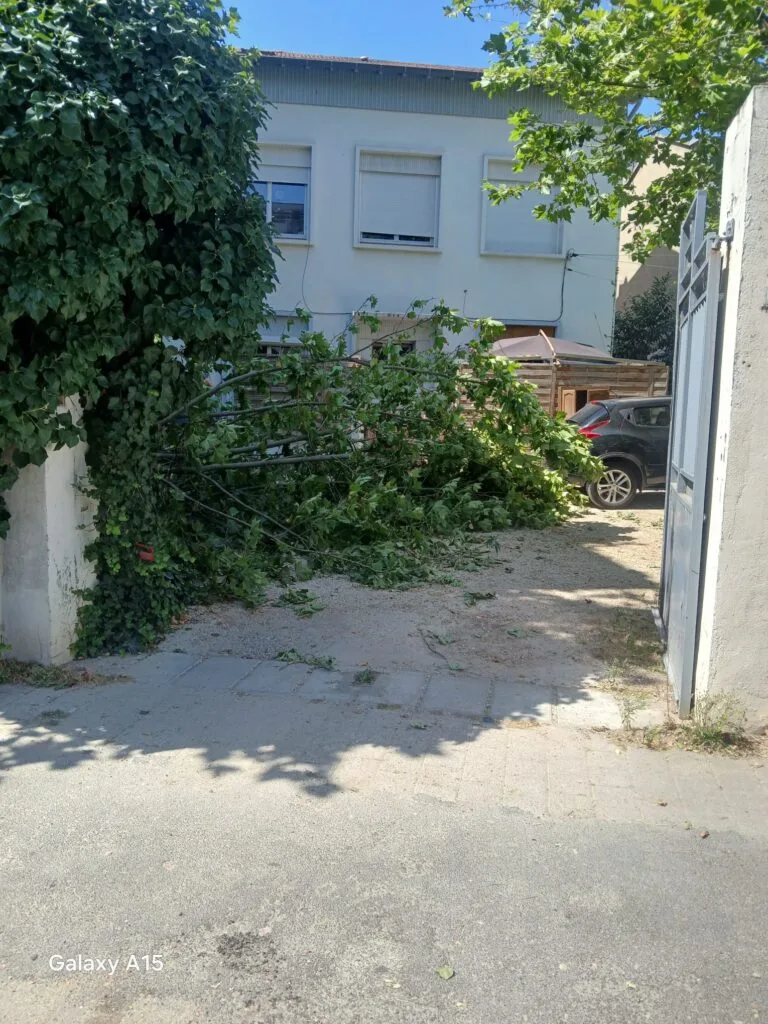 Jardin entretenu après le passage de King Élagueur