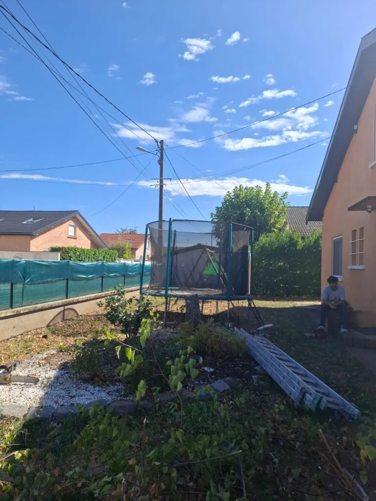 Arbre à réduire dans un jardin de la région lyonnaise
