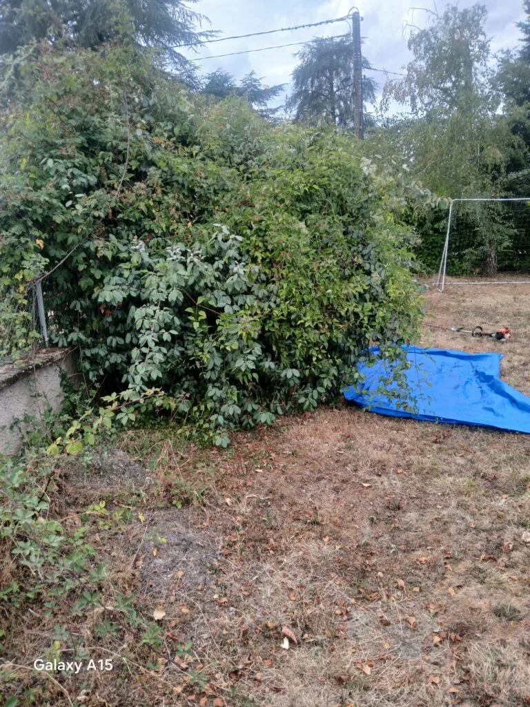 Entretien régulier d’espaces verts assuré par King Élagueur près de Lyon